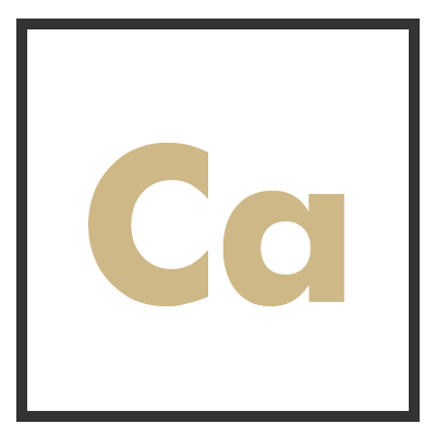 Element Icon_PRAB - Ca