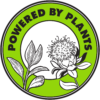 solar_rain_PBP