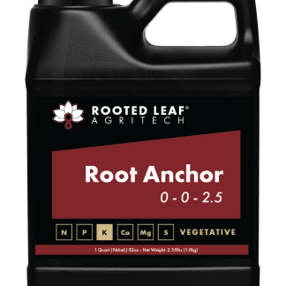 Root Anchor