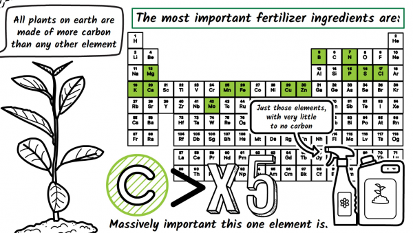 Blog-Carbon2