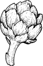 artichoke