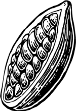 cacao