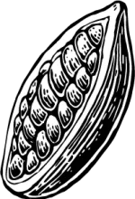 cacao